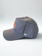 Load image into Gallery viewer, Vintage NY Hitch Aubie